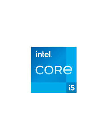 Intel CPU Desktop Core i5-13400 (2.5GHz